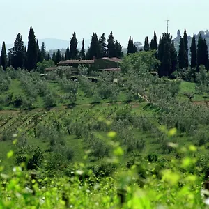 Fattoria Casa Sola Country house